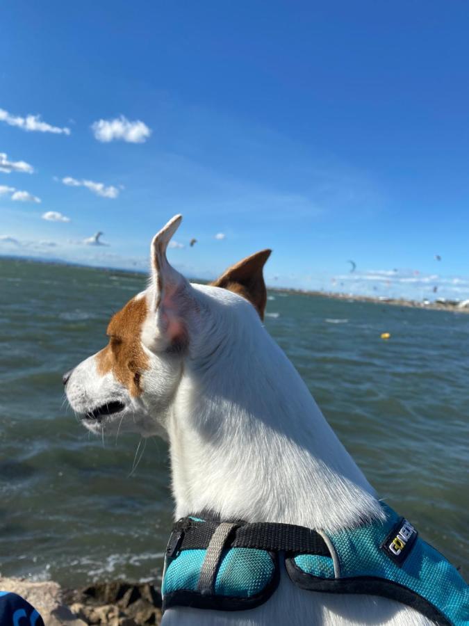 Port Camargue Studio Vue Mer 勒格罗-迪鲁瓦 外观 照片