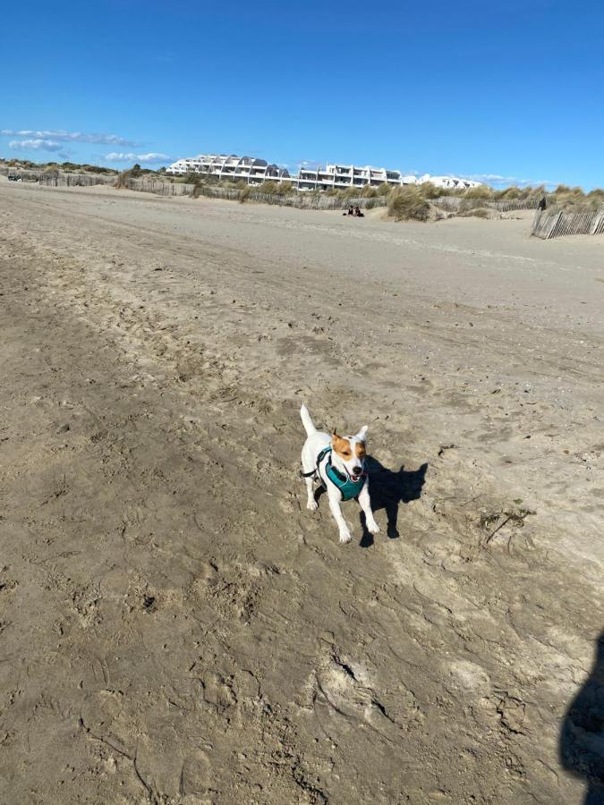 Port Camargue Studio Vue Mer 勒格罗-迪鲁瓦 外观 照片